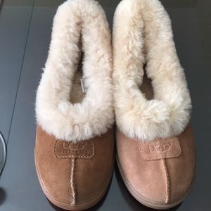 NWOT Authentic Chestnut Ugg Slippers size 6